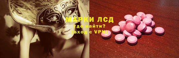 индика Бронницы