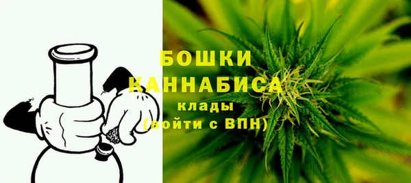 индика Бронницы