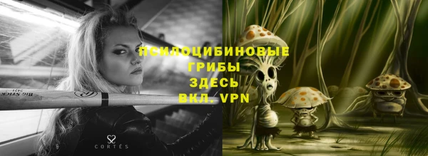 индика Верхнеуральск