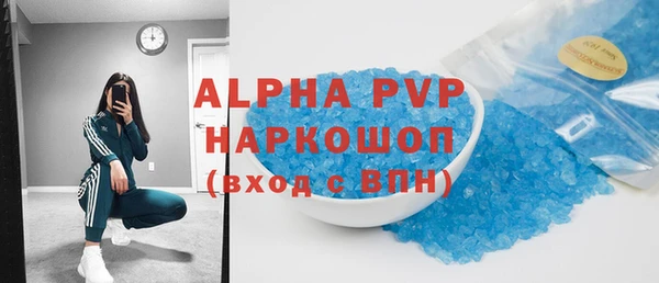 индика Бронницы