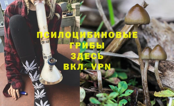 мескалин Бородино