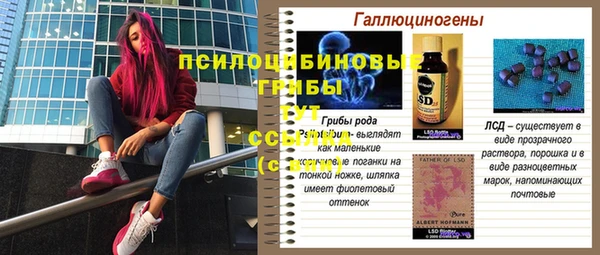 СК Бугульма