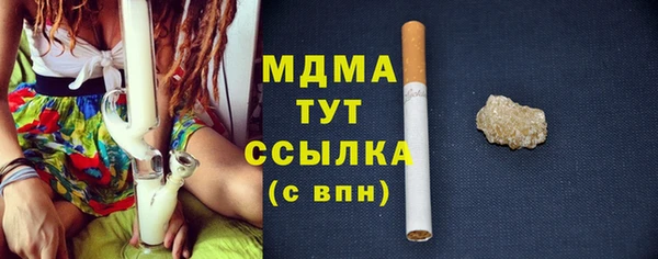 индика Бронницы