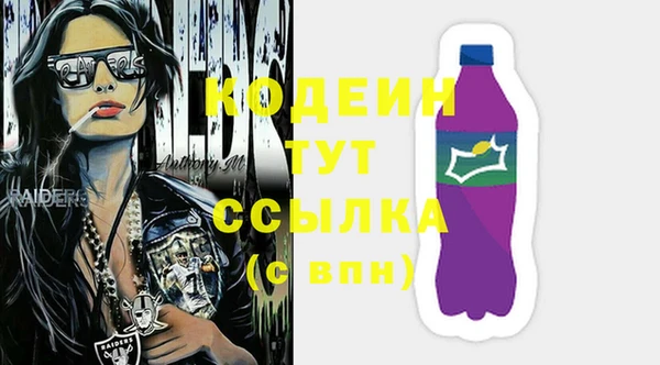 индика Бронницы