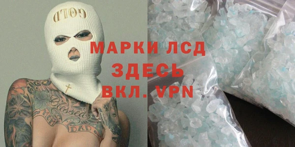 индика Бронницы