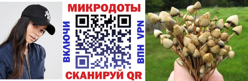 Псилоцибиновые грибы ЛСД  darknet телеграм  Гусиноозёрск 